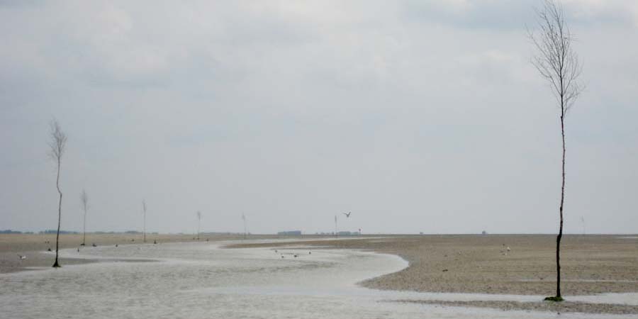 Wattenmeer